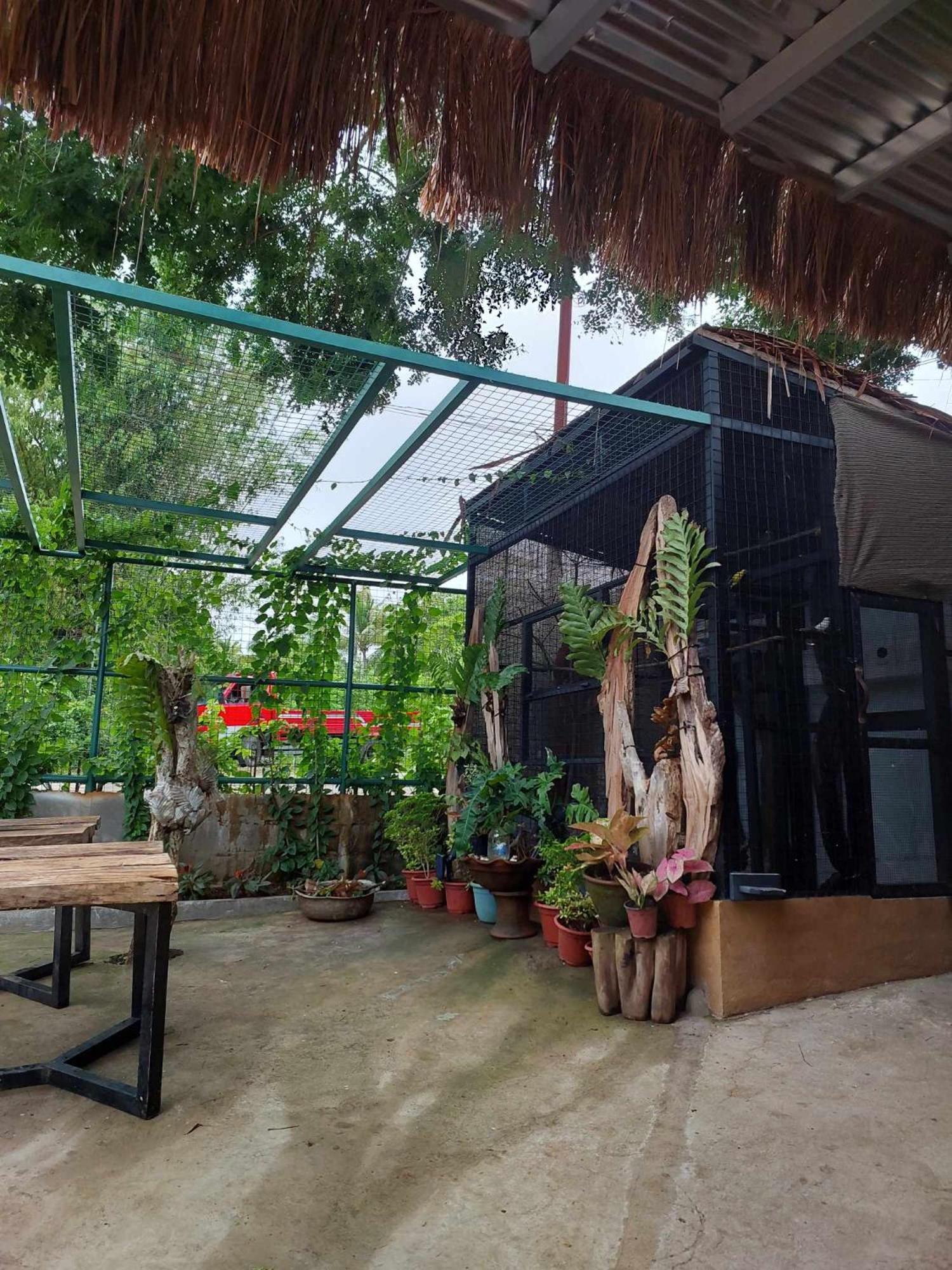 Vikings Ecolodge San Juan  Zewnętrze zdjęcie